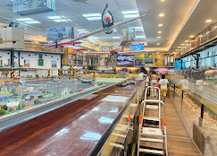 Elevated Aviation & Arena Panorama